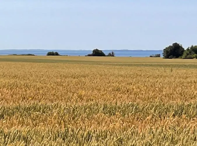 Munkgaard & Outdoor ベッド・アンド・ブレックファスト Rødvig